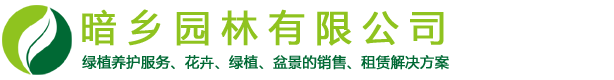租花,绿植租赁,花卉租摆,办公室绿化,花卉租赁,绿植租摆,植物出租-暗乡园林有限公司