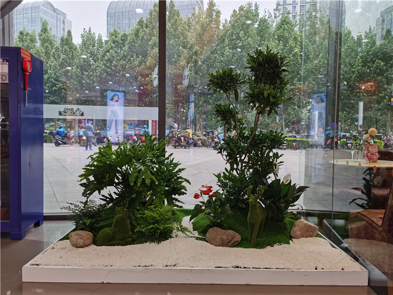景观组合