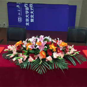 上城会议花