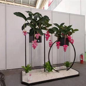 杭州花架组合