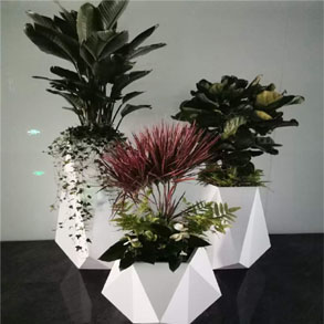 杭州花卉组合