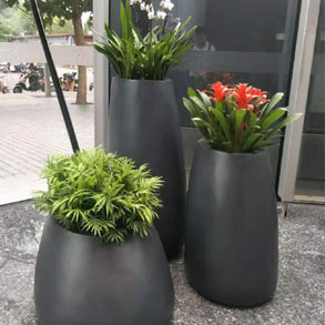 杭州花卉组合