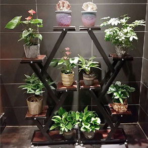 杭州花架组合
