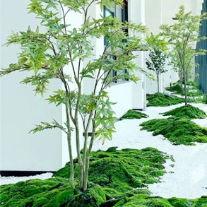 杭州景观组合