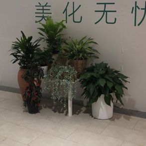 杭州景观组合